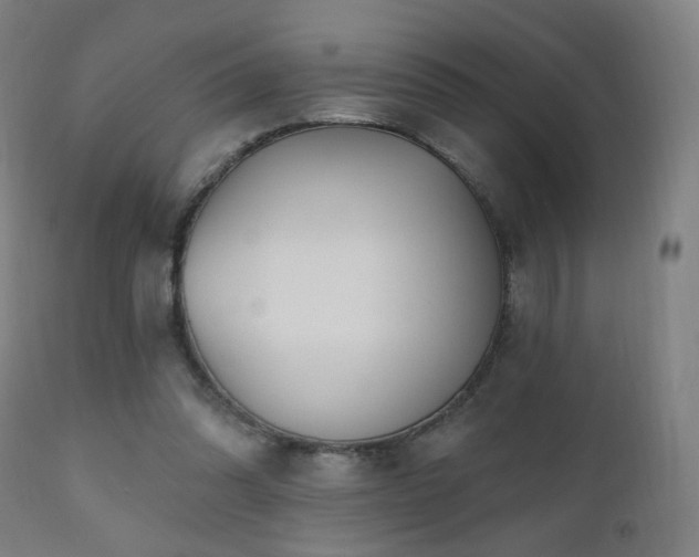 X0000110980302200906191410