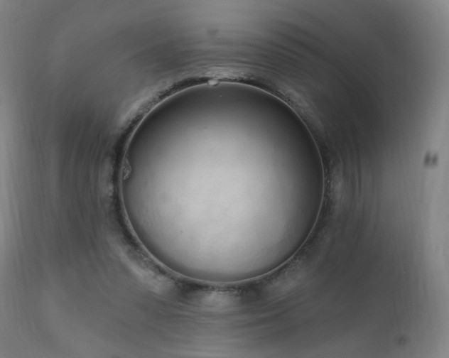 X0000110980303200906191410