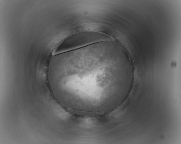 X0000110980305200906191410