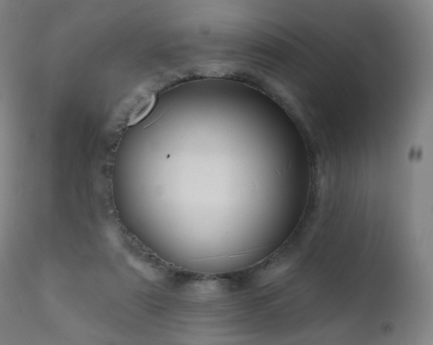 X0000110980307200906191410