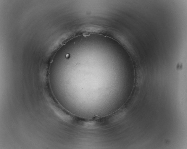 X0000110980309200906191410