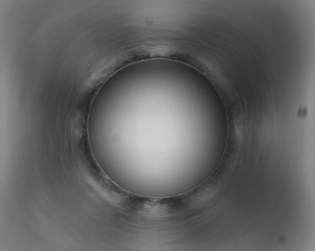 X0000110980311200906191410