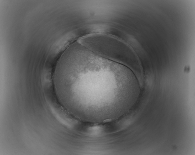 X0000110980312200906191410