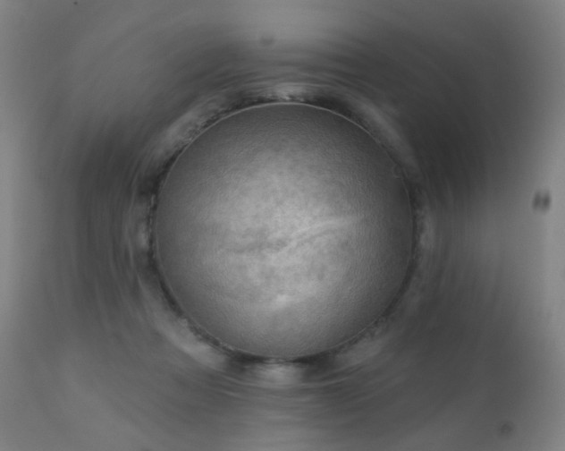 X0000110980313200906191410