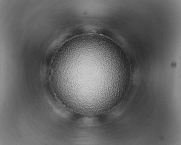 X0000110980314200906191410