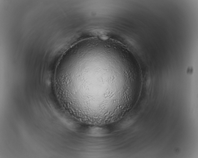 X0000110980315200906191410