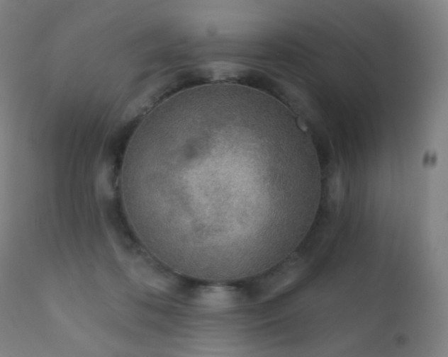 X0000110980316200906191410