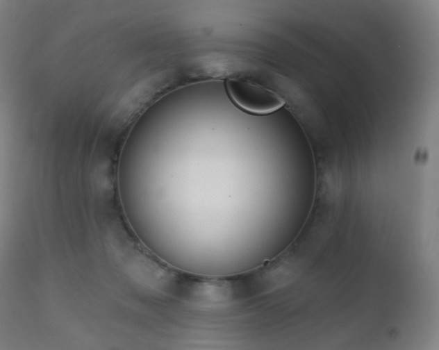 X0000110980317200906191410