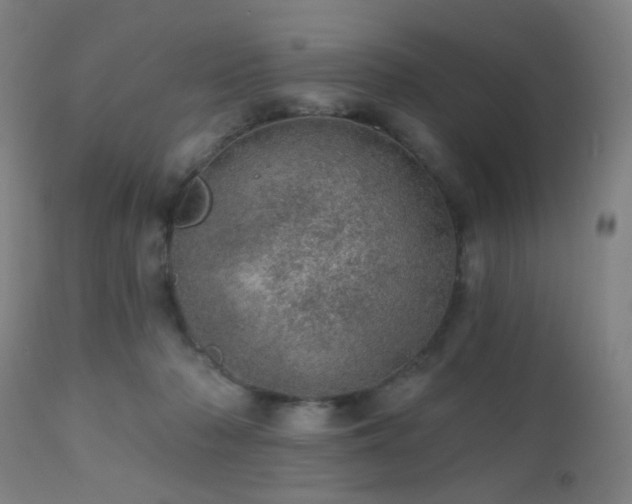 X0000110980318200906191410