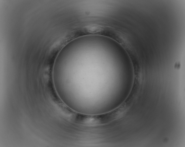 X0000110980319200906191410