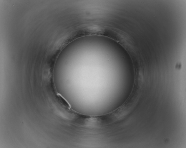 X0000110980320200906191410