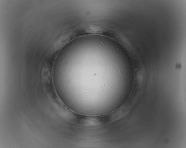 X0000110980322200906191410