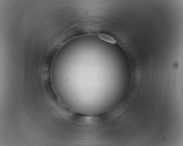 X0000110980323200906191410