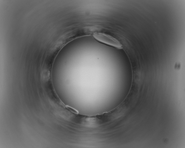 X0000110980324200906191410