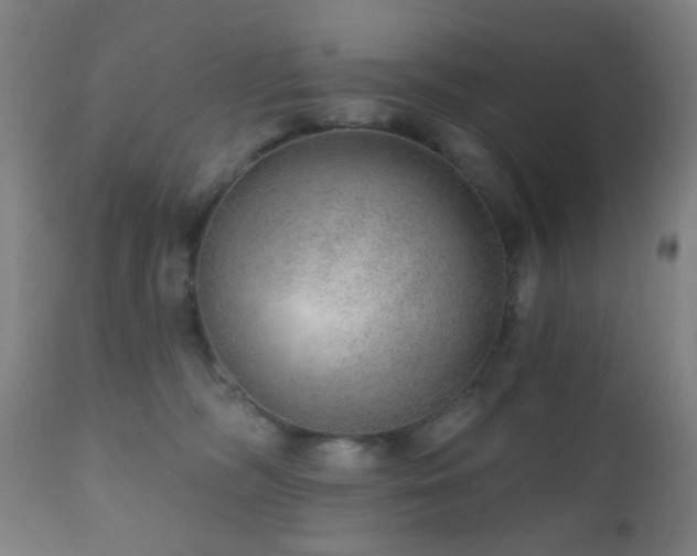 X0000110980326200906191410