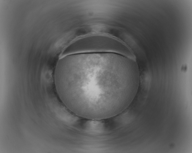 X0000110980327200906191410