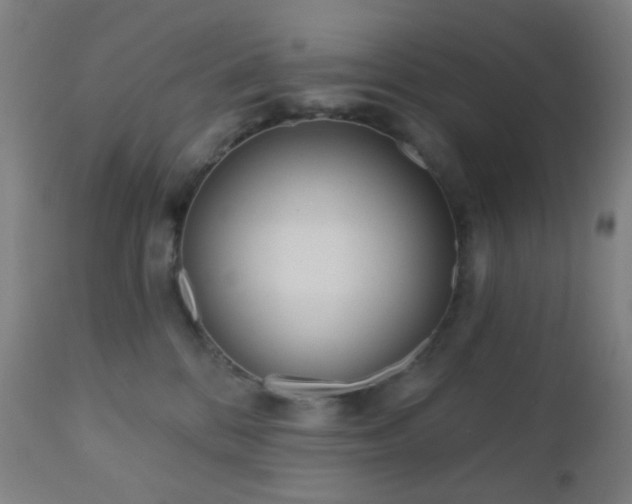 X0000110980328200906191410