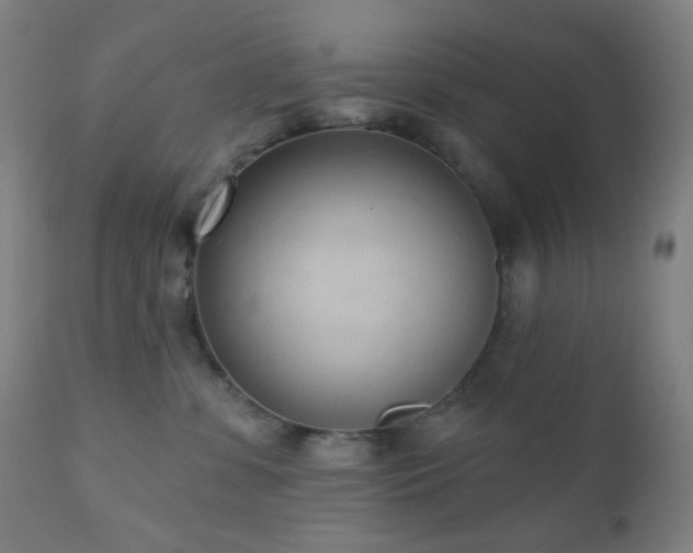 X0000110980331200906191410