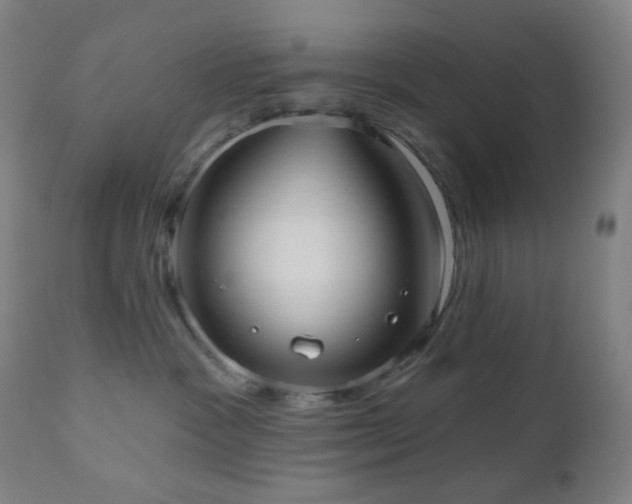 X0000110980333200906191410