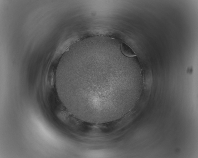 X0000110980334200906191410