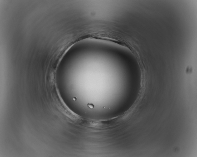 X0000110980336200906191410