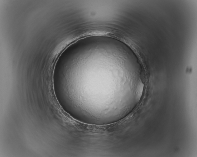 X0000110980337200906191409