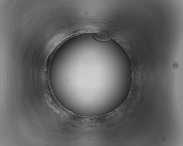 X0000110980338200906191409