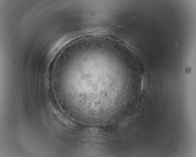 X0000110980339200906191409