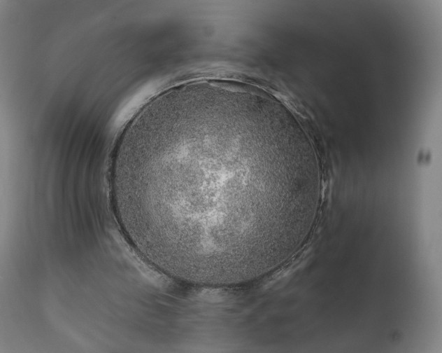 X0000110980341200906191409