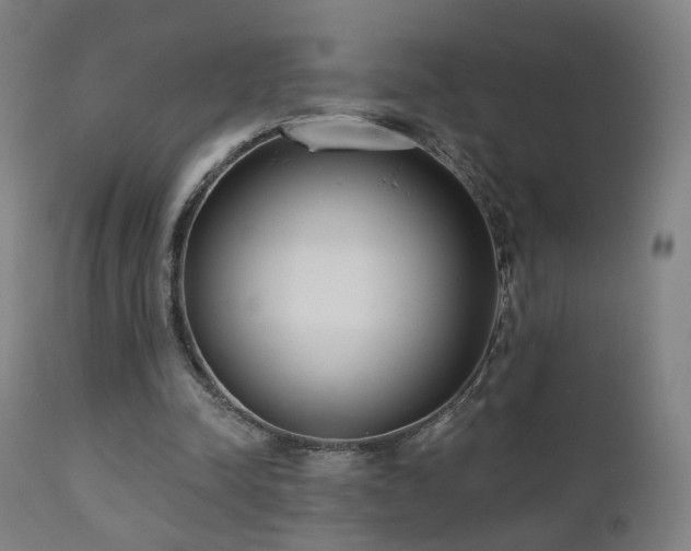 X0000110980342200906191409