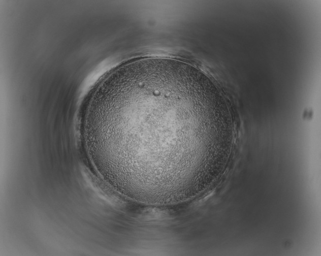 X0000110980343200906191409