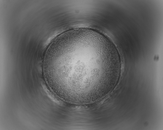 X0000110980345200906191409