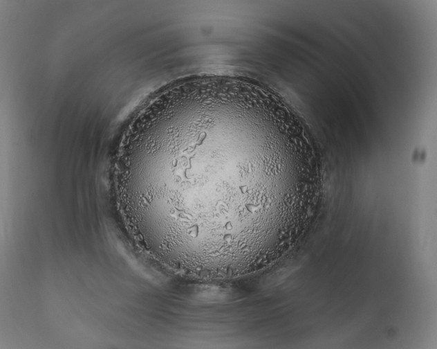 X0000110980347200906191409