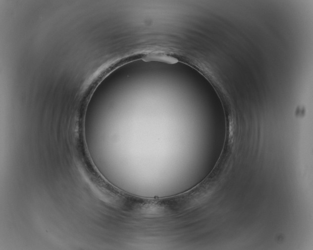 X0000110980348200906191409