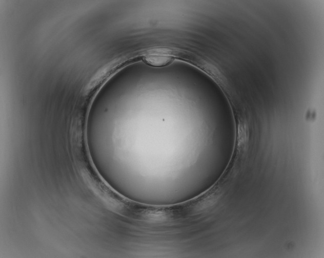 X0000110980349200906191409