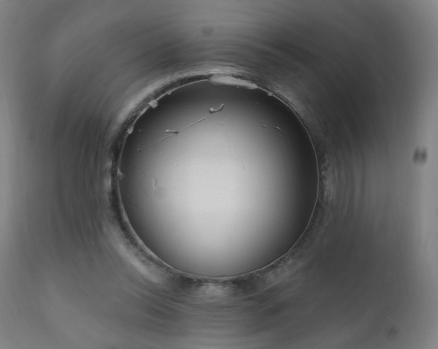 X0000110980350200906191409