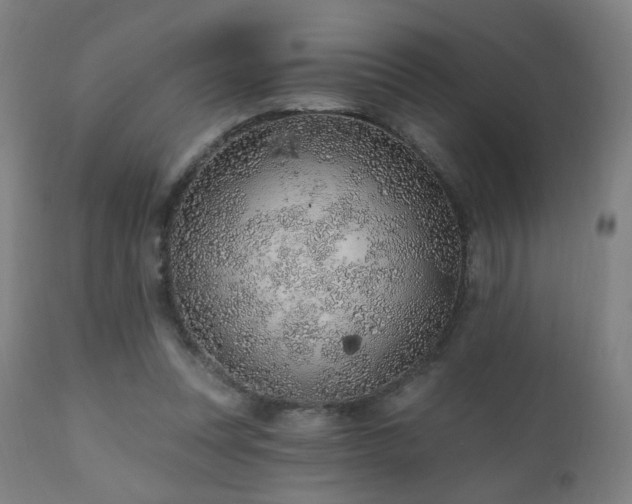 X0000110980351200906191409