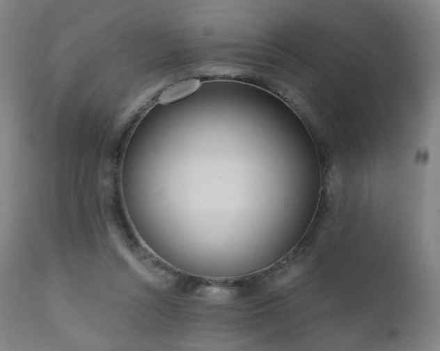 X0000110980352200906191409