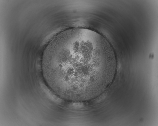 X0000110980353200906191409