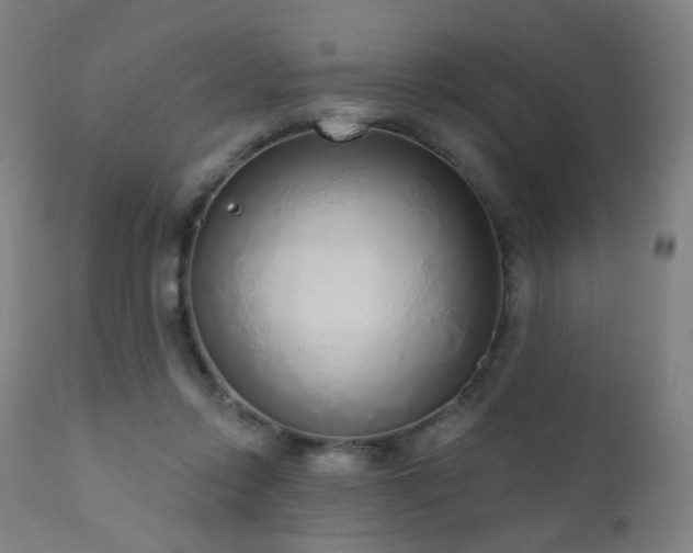 X0000110980358200906191409