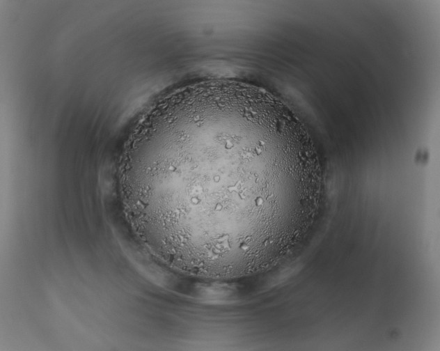 X0000110980359200906191409