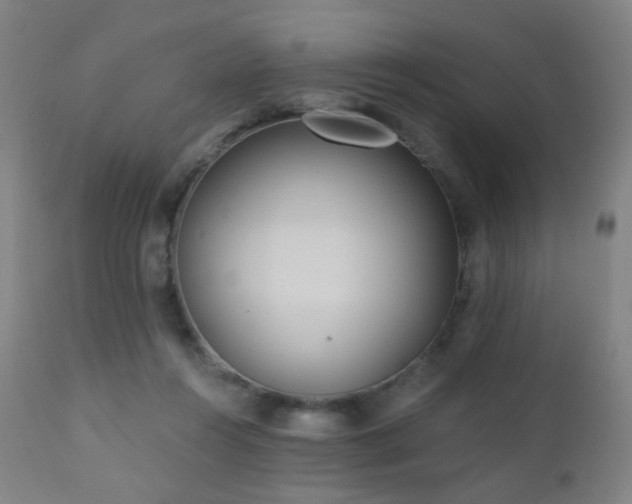 X0000110980360200906191409