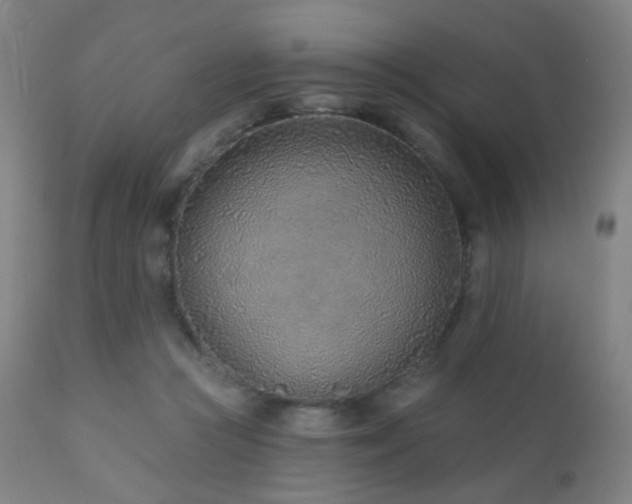 X0000110980361200906191409