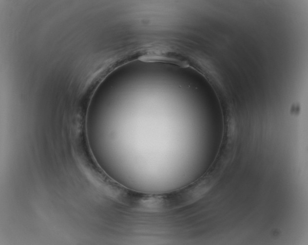 X0000110980362200906191409