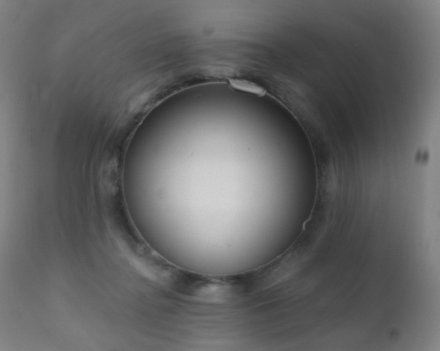 X0000110980364200906191409