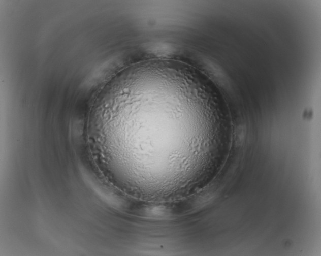 X0000110980365200906191409