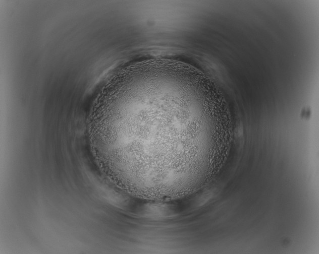 X0000110980367200906191409