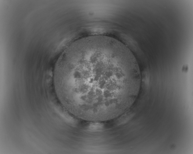 X0000110980369200906191409