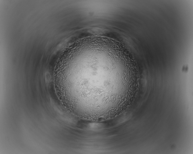 X0000110980371200906191409