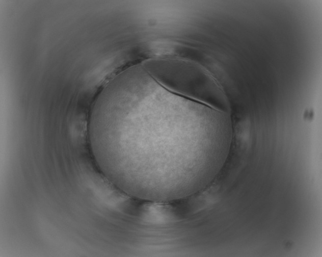 X0000110980372200906191409